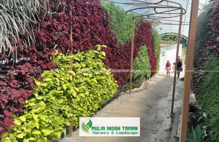 Jasa Vertical Garden Bogor