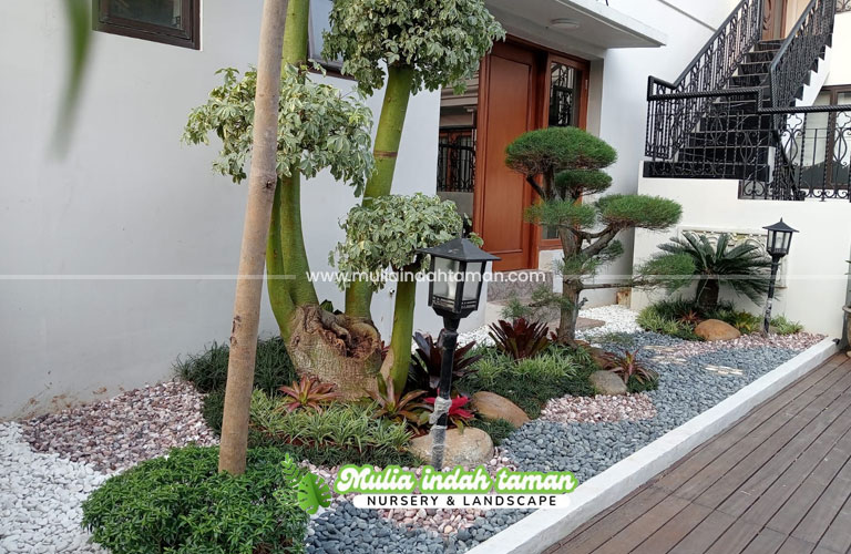 tukang taman cikupa